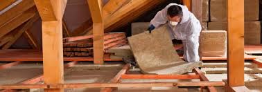 Best Weatherproofing Services  in Wayne City, IL